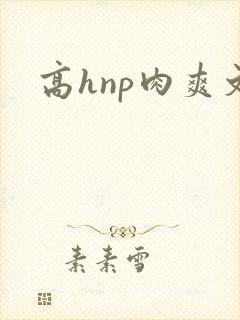 高hnp肉爽文