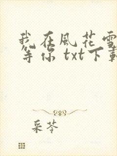 我在风花雪月里等你 txt下载