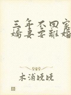 三年不回家七零娇妻要离婚免费阅读封面