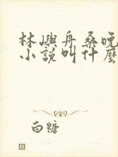 林屿舟桑晚温言小说叫什么名字