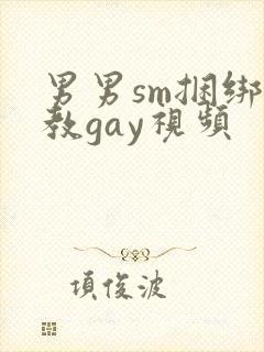 男男sm捆绑调教gay视频