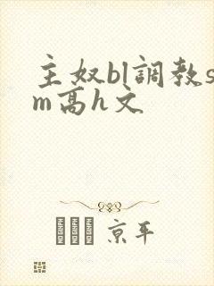 主奴bl调教sm高h文