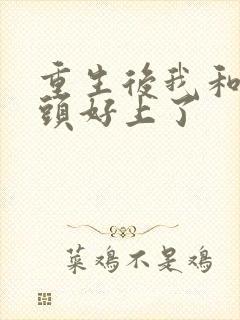 重生后我和死对头好上了封面
