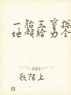一胎三宝总裁爹地超给力全文免费阅读