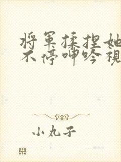 将军揉捏她两乳不停呻吟视频