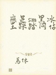 恋足sm黑冰女王踩踏网站封面