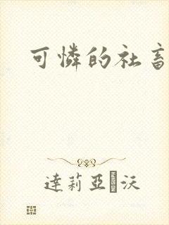 可怜的社畜分手