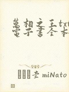 万相之王txt电子书全本免费下载
