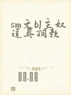 sm文bl主奴道具调教