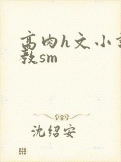 高肉h文小说调教sm