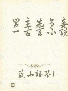 男主先多妾后专一古言小说