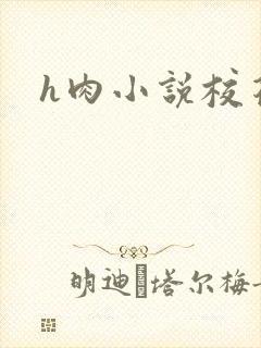 h肉小说校花
