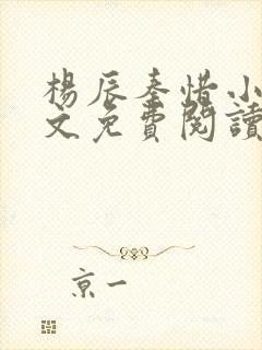 杨辰秦惜小说全文免费阅读完整版