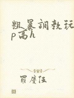 粗暴调教玩弄np高h