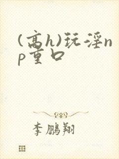 (高h)玩淫np重口