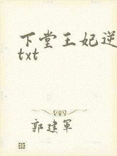 下堂王妃逆袭记txt