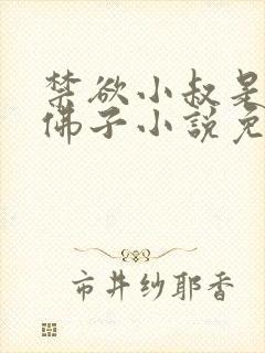 禁欲小叔是位假佛子小说免费阅读