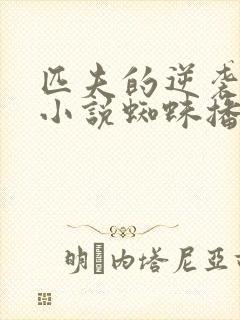 匹夫的逆袭有声小说蜘蛛播音封面