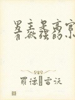 男主是高官且占有欲强的小说