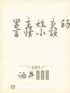 男主姓炎的现代言情小说