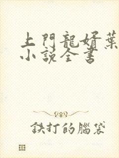 上门龙婿叶辰的小说全书