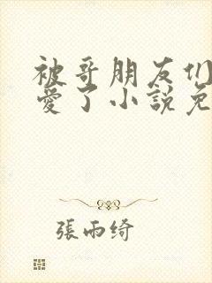 被哥朋友们强制爱了小说免费阅读最