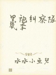 黑袍纠察队一共几季