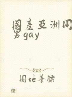国产亚洲同性男男gay