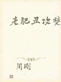 老肥丑攻双性受封面