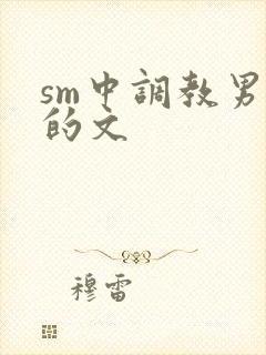 sm中调教男m的文