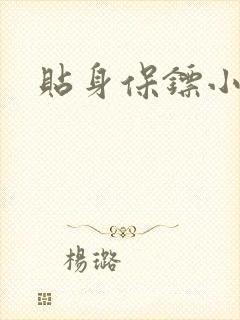 贴身保镖小说