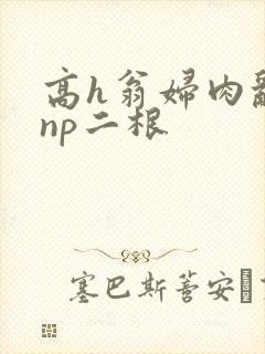 高h翁妇肉乱文np二根