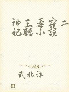 神王毒宠二嫁王妃听小说封面