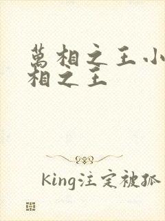 万相之王小说万相之王