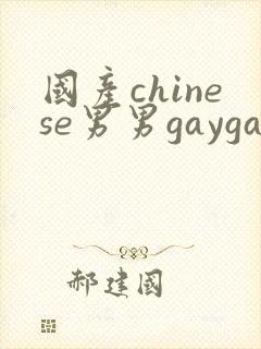 国产chinese男男gaygay网站无情打桩机