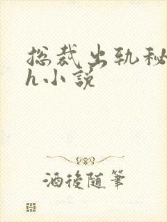 总裁出轨秘书高h小说