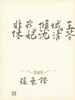 非我倾城王爷要休妃沈清苓结局