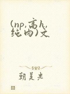 (np,高h,纯肉)文封面