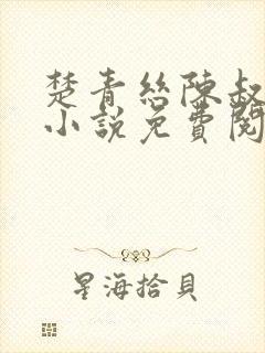 楚青丝陈叔黄震小说免费阅读