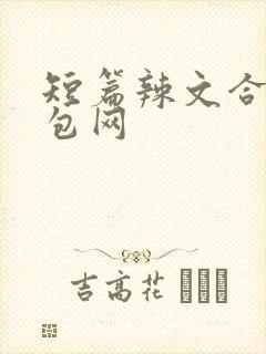 短篇辣文合集书包网
