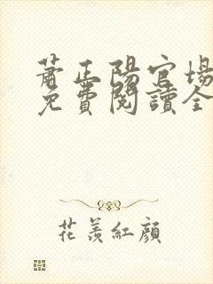 萧正阳官场小说免费阅读全文