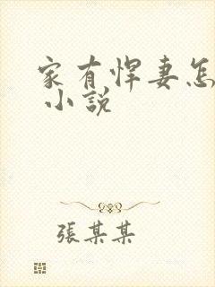 家有悍妻怎么破 小说封面