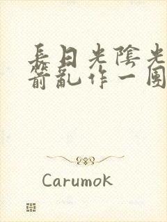 长日光阴光阴似箭乱作一团笔趣阁