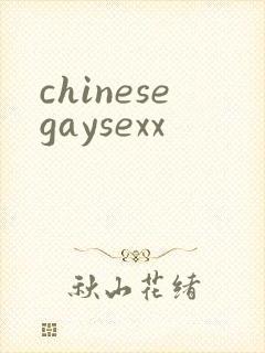 chinesegaysexx
