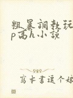 粗暴调教玩弄np高h小说
