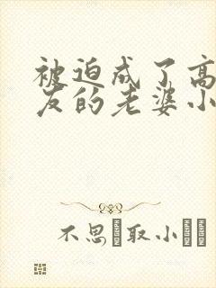 被迫成了高冷室友的老婆小说阅读免费