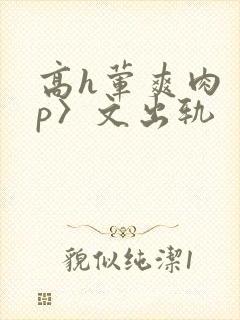高h荤爽肉〈np〉文出轨