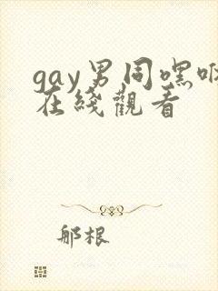 gay男同嘿咻在线观看