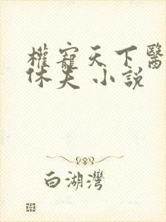 权宠天下医妃要休夫 小说