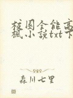 校园全能高手季枫小说txt下载